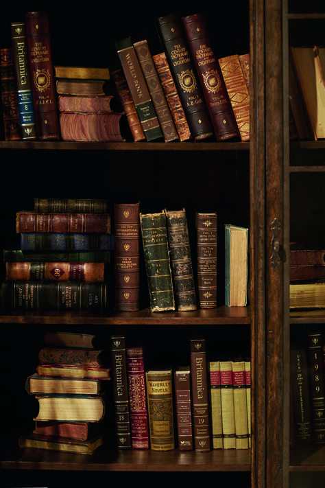 Zoom Wallpaper, Lots Of Books, Dark Acadamia, Dream Library, Seni Vintage, Aesthetic Dark Academia, Library Aesthetic, Book Wallpaper, Foto Vintage