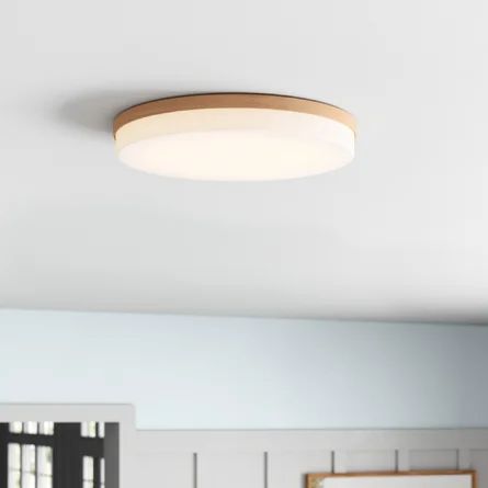 Wade Logan® Trotman 1 - Light 14.96" LED Flush Mount | Wayfair Bathroom Ceiling Light, Hallway Lighting, Drum Chandelier, Lighting Products, Low Ceiling, Led Flush Mount, Flush Ceiling Lights, Flush Mount Lighting, Led Ceiling Lights