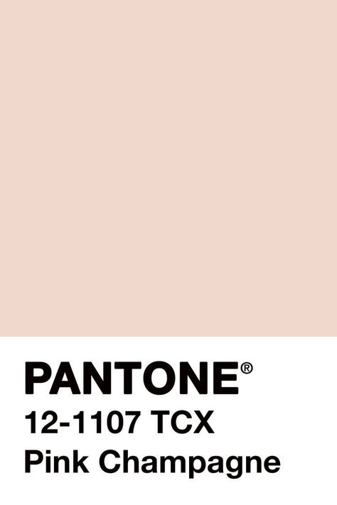 Pink champagne Pantone 2016, Pantone Palette, Pantone Colour Palettes, 패턴 배경화면, Color Inspo, Colour Board, Iphone App, Pink Champagne, Champagne Color