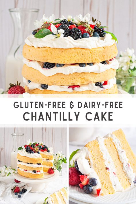 Gluten Free Bday Dessert, Dairy Free Chantilly Cake, Chantilly Cake Gluten Free, Vegan Chantilly Cake, Gluten Free Chantilly Cake Recipe, Vegan Chantilly Cream, Gluten Free Dairy Free Vanilla Cake, Vegan Berry Cake, Gluten Free Chantilly Cake