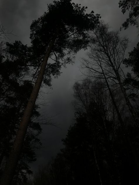 Art Photography Aesthetic, Kpop Header, Gothic Homes, Dark Acadamia, Aesthetic Forest, Gothic Garden, Scenic Wallpaper, Dark N Stormy, Stormy Night