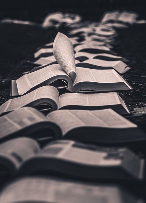 Book Trail by Freddie Ardley on 500px Aperture Depth Of Field, Bone Fire, Gestalt Psychology, Jewish Boy, Make A Story, Line Photography, Jack Antonoff, House Painter, Image Paper