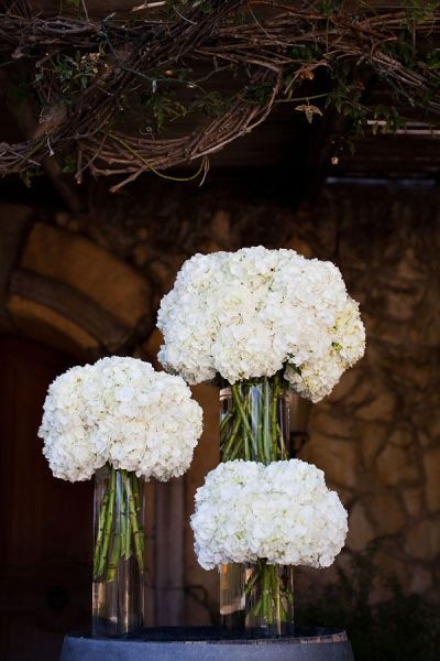 White On White Wedding, White Wedding Decor, Deco Champetre, Hydrangea Centerpiece, White On White, Deco Floral, White Hydrangea, White Party, Here Comes The Bride