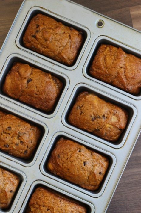 Chocolate Chip Mini Loaves, Mini Breads, The Best Pumpkin Bread, Persimmon Bread, Mini Bread Loaves, Best Pumpkin Bread, Mini Loaf Cakes, Mini Loaves, Pumpkin Loaf