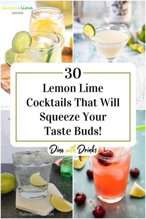 Collage of 4 lemon lime cocktails. Lemon Lime Cocktail, Lime Cocktail Recipes, Lime Cocktails, Sour Drink, Perfect Summer Drink, Lemon Lime Soda, Easy Cocktails, Crowd Pleaser, Easy Food To Make