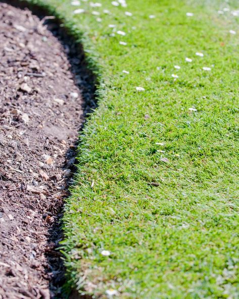 Curved grass border of an empty flower bed Brick Flowerbed Border, Curved Garden Edging, Curved Flower Beds, Curved Garden Beds, Landscape Edging Ideas, Grass Border, Grass Edging, Stone Edging, Garden Edging Ideas