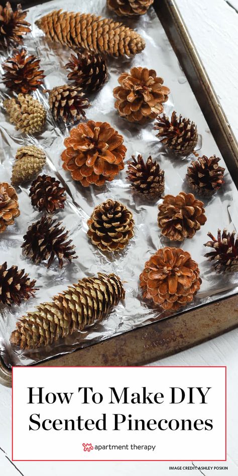 Diy Scented Pinecones, Pinecones Crafts, Oppgaver For Barn, Pine Cone Christmas Decorations, Pinecone Crafts Christmas, Scented Pinecones, Pinecone Crafts, Potpourri Recipes, Diy Scent