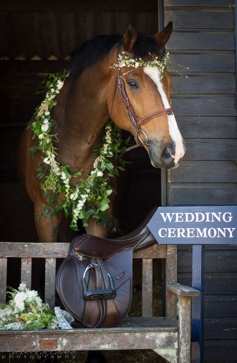 Horse Beach Wedding, Horse Wedding Entrance, Horse Halloween Costumes, Horse Halloween, Wedding Ceremony Photography, Weddings Country, Brother Wedding, Horse Photography Poses, Equestrian Wedding