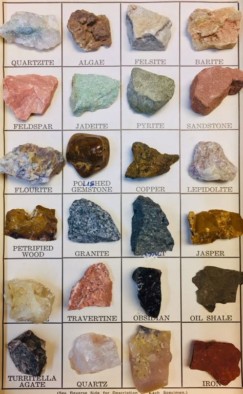 Rocks And Gems Identification, Beach Rocks Identification, Gems And Minerals Raw, Virginia Rocks And Minerals, Colorado Rocks And Minerals, Indiana Rocks And Minerals, Minnesota Rocks And Minerals, Washington State Rocks And Minerals, Cool Rocks And Minerals