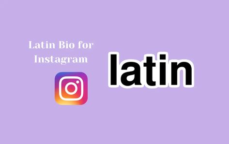 Latin Proverbs, Bio For Instagram, Latin Phrases, Captions For Instagram, Cooking Inspiration, Instagram Bio, Run Out, Instagram Captions, Proverbs