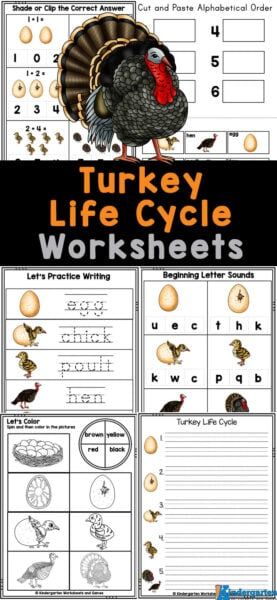 Free Educational Apps, Lego Math, Turkey Activity, Activity Printables, Free Worksheets For Kids, Early Literacy Activities, Homeschool Freebies, Preschool Math Worksheets, Phonics Games