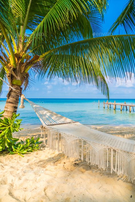 Hammock on the beach by siraphol. Hammock on the beautiful tropical beach and sea with blue sky ¨C Holiday Vacation concept#beautiful, #tropical, #siraphol, #Hammock Hammock On The Beach, Hammock Beach, Tropical Beach Resorts, Sky C, Pirate Activities, Beach Hammock, Beautiful Beach Pictures, Preppy Beach, Caribbean Culture