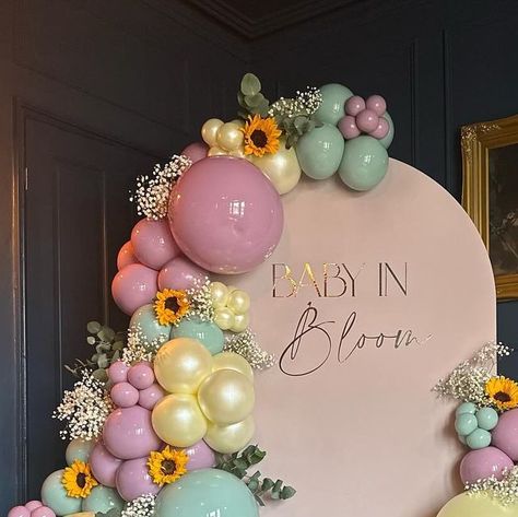 Balloons By Gracie Jaynes on Instagram: "🌻 🍃 B A B Y  I N  B L O O M 🍃🌻   Soft pink sailboard with full balloon arch, with fresh flowers from @theflowerhouseibstock 🌻💕   Thank you for choosing us @beckyandthebutcher 💕🌻   Venue @peartreewoodhouse   @blow_it_with_bex @dressyourdaydream @proballoonshop @balloonmarket.uk @funtasia.party @shimmerandconfetti @theeventcollectivex @peartreewoodhouse  @theflowerhouseibstock   #babyinbloom #babygirl #babyshower #2024baby #baby #sunflower #gypsophila #peartreewoodhouse #flowerhouseibstock #balloonsbygraciejaynes #babyshpwerdecor #celebrate #mumtobe #balloonarch #leicestershire #smallbusiness" Wildflower Birthday Balloon Garland, Baby In Bloom Shower Balloon Arch, Wildflower Baby Shower Balloon Arch, Baby In Bloom Balloon Arch, Full Balloon Arch, Balloon Arch With Flowers, Baby In Bloom Backdrop, Flower Balloon Arch, Floral Balloon Arch