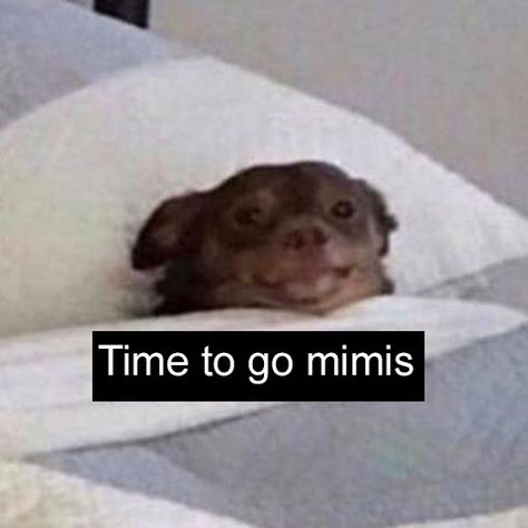 Go To Bed Memes Humor, Waking Up Memes Funny, Going To Sleep Meme Funny, Sleeping Memes Humor, Get Some Sleep Quotes, Are You Sleeping, Wake Up Meme Funny, Goodnight Funny Pictures, Good Night Meme Cute