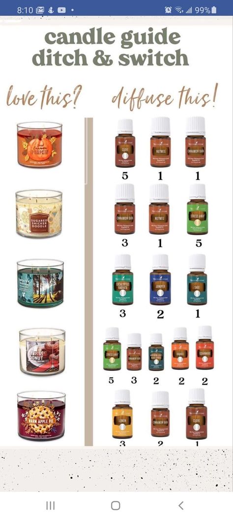 Christmas Astetic, Simmer Scents, Candle Guide, Essential Oil Candle Blends, Candle Recipes, Candle Scents Recipes, Diy Essential Oil Diffuser, Oils For Sinus, House Mafia