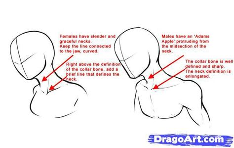 How to draw anime necks Anatomy Drawing Female, Learn To Draw People, Zelda Drawing, Neck Drawing, Drawing Anime Bodies, Male Vs Female, Body Ideas, Male Figure Drawing, Drawing Female