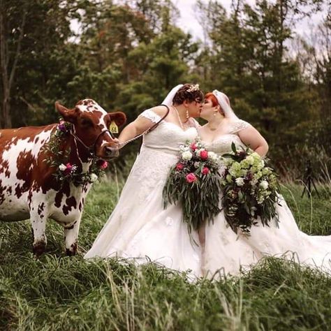 We had our big fat lesbian wedding yesterday, featuring our moo-tron of honor, my wife’s cow Charon! The photog put this pic up basically immediately! Cottage Core Lesbian Wedding, Plus Size Lesbian Wedding, Cottagecore Lesbian Wedding, Sapphic Wedding, Lesbian Wedding Rings, Pregnant Lady, Poses Couples, Plus Size Brides, Lifestyle Goals