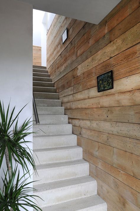 Stairs House, White Wood Wall, Architecture Company, Concrete Stairs, Stairs Architecture, Diy Stairs, Wooden Stairs, House Stairs, Wood Interiors