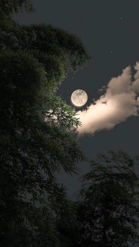 Pretty Outside Pictures Dark, Aesthetic Moon Photos, Moon Images Aesthetic, Brown Moon Wallpaper, Moonlight Aesthetic Dark, Photos Astethic, Nature Profile Pictures, Moon Wallpaper Iphone Aesthetic, Pretty Moon Pictures