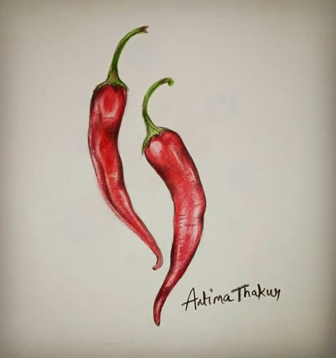 Peperoni Tattoo, Chilli Tattoo Outline, Chilly Tattoo, Chile Pepper Tattoo, Chilli Pepper Tattoo, Chilli Ideas, Chilli Tattoo, Chili Pepper Tattoo, Chili Tattoo