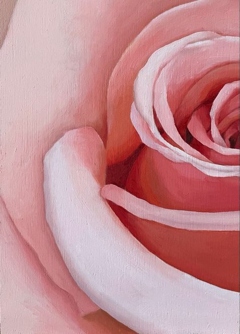 A oil painting of a pink rose cropped to the centre and first outer petals Upclose Flower Painting, Zoomed In Flower Painting, Close Up Flower Drawing, Natural Forms Painting, Rose Close Up, Zoomed In Flower, Close Up Flowers Photography, Realistic Flower Painting, Flower Up Close