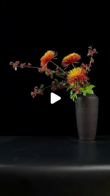 Point Of Life, Exotic Plants, In The Wild, Chrysanthemum, Flower Arrangement, Color Splash, Decorating Your Home, Floral Arrangements, Beautiful Flowers