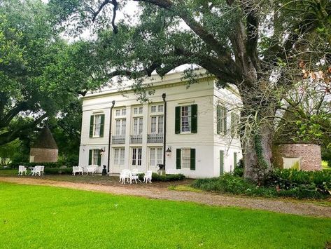 Photos: Look inside Bocage Antebellum home that's up for auction in Louisiana | Multimedia | theadvocate.com Antebellum Homes Interior, New Orleans Plantations, Abandoned Mansion For Sale, Old Southern Homes, Southern Plantation Homes, Antebellum Home, Louisiana Plantations, Antebellum South, Southern Home Interior