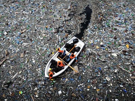 A Documentary About Plastic Pollution in the Atlantic Ocean by Justin Lewis and Michelle Stauffer — Kickstarter Great Pacific Garbage Patch, Chris Jordan, Haunting Photos, Ocean Pollution, Earth Images, La Pollution, Environmental Pollution, Water Pollution, Plastic Pollution