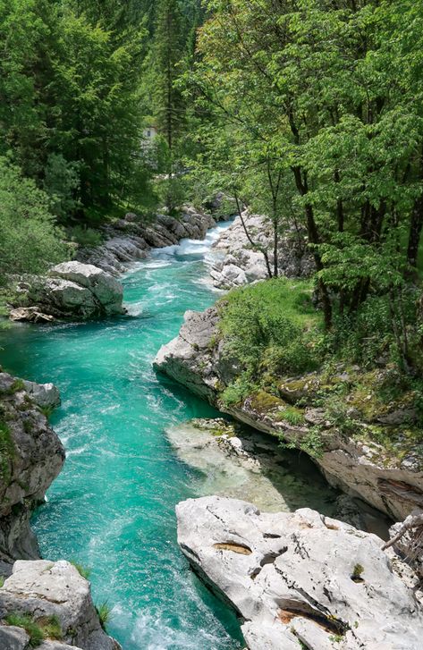 Slovenia Itinerary, Mountain Streams, Taman Air, Matka Natura, Lake Bled, Places In The World, Most Beautiful Cities, Beautiful Places In The World, Alam Yang Indah