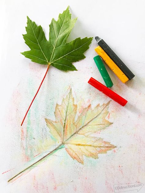 How to Make Leaf Rubbing Art and Leaf Art Printable - 100 Directions Leaf Rubbing Art, Leaf Tracing, Earth Day Crafts For Kids, Leaf Rubbing, Diy Halloween Treats, Merricks Art, Art For Kids Hub, Fun Fall Crafts, Fall Art Projects