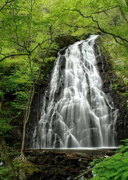 Crabtree Falls Blue Ridge Parkway North Carolina, Virginia Vacation, Virginia Travel, Virginia Is For Lovers, Beautiful Hikes, Blue Ridge Parkway, Beautiful Waterfalls, Pretty Places, Blue Ridge