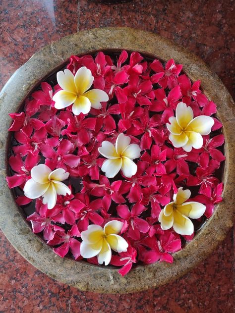 Floating Flower Rangoli, Flower Decorations Rangoli, Flower Rangoli Aesthetic, Uruli Flower Decoration, Puja Flower Decoration, Floral Rangoli Designs Diwali, Onam Flower Decoration, Onam Decoration Ideas, Urli Decoration Ideas