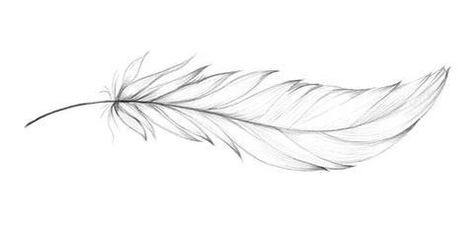 Feather And Stars Tattoo, Two Feather Tattoo Design, Small Feather Tattoo Design, Dainty Feather Tattoos For Women, Feather Line Tattoo, Fine Line Feather Tattoo Design, Parrot Feather Tattoo, Fine Line Wing Tattoo, Falling Feathers Drawing