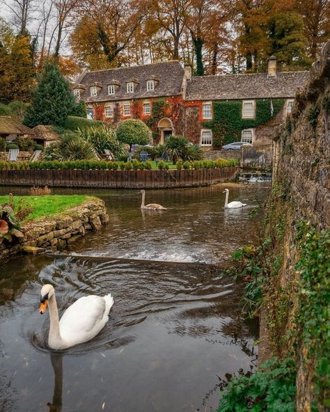 Bibury, Gloucestershire, England House On The Water, Triple Chocolate Cake, Triple Chocolate, Village Life, Filming Locations, Beautiful Places To Travel, The Village, Post Office, Travel Dreams