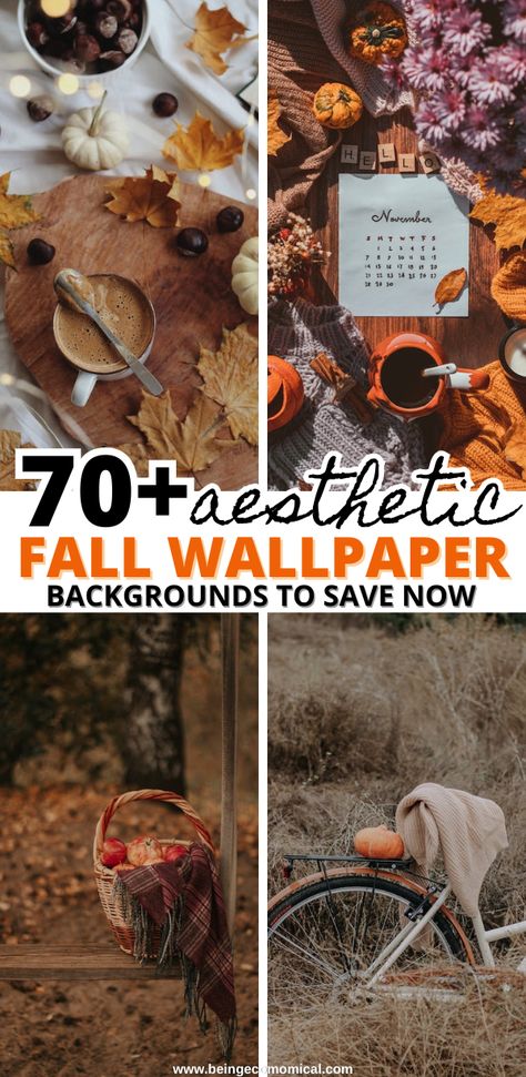 70+ Fall Wallpaper Ideas For The Ultimate Fall Aesthetic. These are the perfect fall wallpaper aesthetic and fall background ideas for your cozy fall lockscreen. Iphone Wallpaper Rustic, Cozy Academia Aesthetic, Fall Backgrounds Wallpapers, Fall Wallpaper Backgrounds, Fall Wallpaper Ideas, 70 Aesthetic, Cozy Academia, Fall Lockscreen, Screensaver Iphone