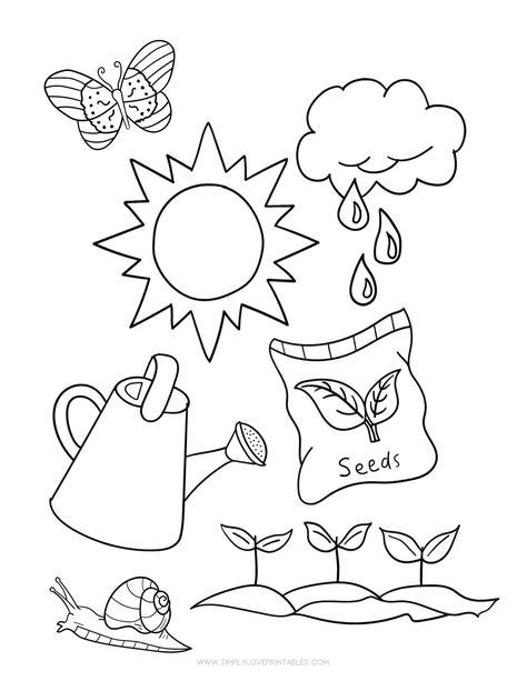 Simply Love Printables Spring Coloring Page Plant Seeds Seeds Preschool, Science Coloring Pages, Spring Coloring Sheets, Flower Birthday Invitations, Flower Coloring Sheets, Planting For Kids, Garden Coloring Pages, Homeschool Lessons, April Crafts