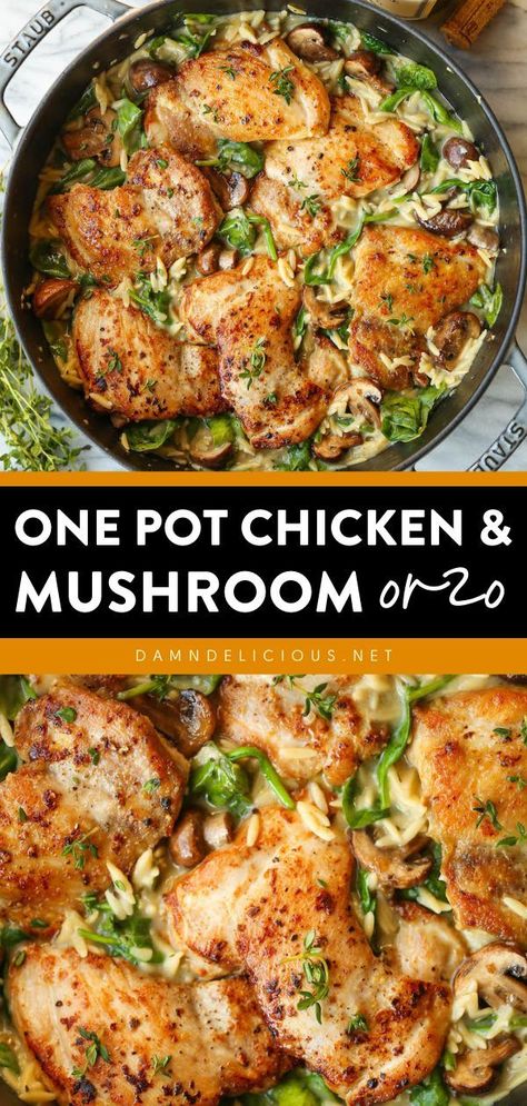 Chicken And Mushroom Orzo, Mushroom Orzo, Creamy Orzo, Chicken And Mushroom, Orzo Recipes, One Pot Dinners, One Skillet, One Pot Chicken, One Pot Dinner