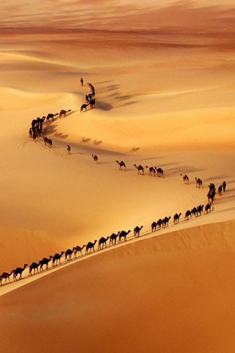 Fire Keeper, Sandy Desert, المملكة العربية السعودية, Wild Nature, Bhutan, Sand Dunes, Arab Emirates, Mongolia, Syria