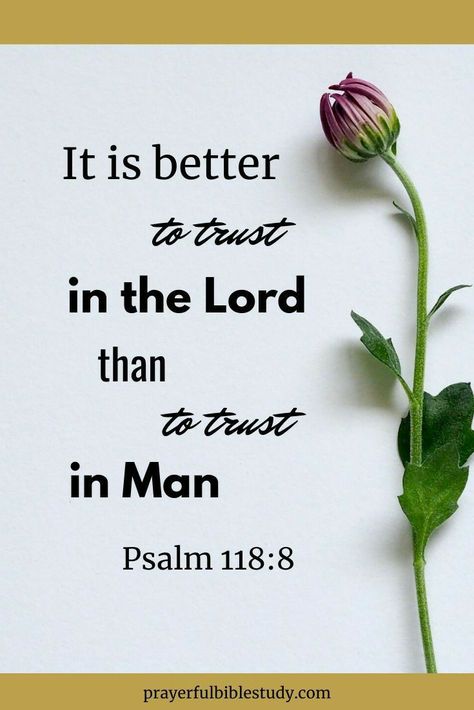 Psalm 118 8, Trust God Quotes, God Is In Control, God Is Love, Ayat Alkitab, Trust In The Lord, Encouraging Bible Verses, Bible Verses Quotes Inspirational, Biblical Quotes