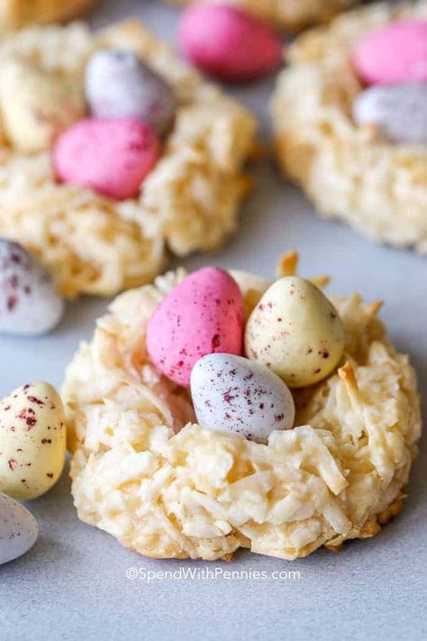 Birdsnest Cookies, Kid Friendly Cookie Recipes, Kid Friendly Cookies, Easter Desserts Ideas, Birds Nest Cookies, Easter Cookie Recipes, Coconut Cookies Recipes, Easy Easter Desserts, Easter Nests