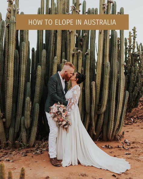 A bride and groom kissing in front of a large cactus at Cactus Country, Victoria. How To Elope, Australia Wedding, Elopement Ideas, Australia Travel, Wedding Tips, Elopement, Blog Post, To Start, Blog Posts