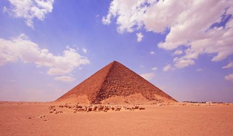 #fridayvibes Learn about the Red Pyramid of Snefru at Dahshur, the first Complete pyramid of ancient Egypt. #egyptbestvacations #history #travel Details here: https://egyptbestvacations.com/the-red-pyramid-of-dahshur/ The Red Pyramid, Facts About Ancient Egypt, Ancient Egyptian Architecture, Red Pyramid, Pyramids Egypt, Karnak Temple, Egypt Tours, Old Egypt, Wallpaper Red