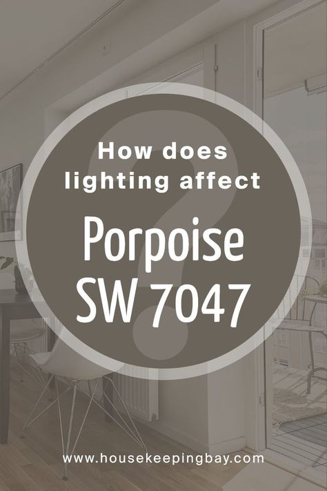 How Does Lighting Affect Porpoise SW 7047 by Sherwin Williams? Perilous Grey Sherwin Williams, Sherwin Williams Porpoise Cabinets, Sw Porpoise Cabinets, Sw Porpoise Exterior, Sherwin Williams Porpoise Exterior, Porpoise Sherwin Williams, Sherwin Williams Porpoise, Sw Porpoise, Sherwin Williams Paint Gray