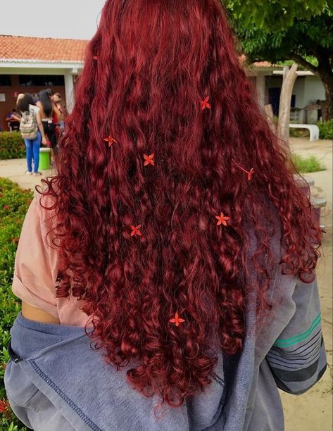 Radiant Rouge: Stunning Red Dye Hairstyles for All Seasons Dark Red Hair Color Curly, Red Curly Hair Dyed, Cherry Red Hair Curly, Bright Red Curly Hair, Dark Red Curly Hair, Dye Hairstyles, Red Hair Inspiration, Cherry Red Hair, Red Dye