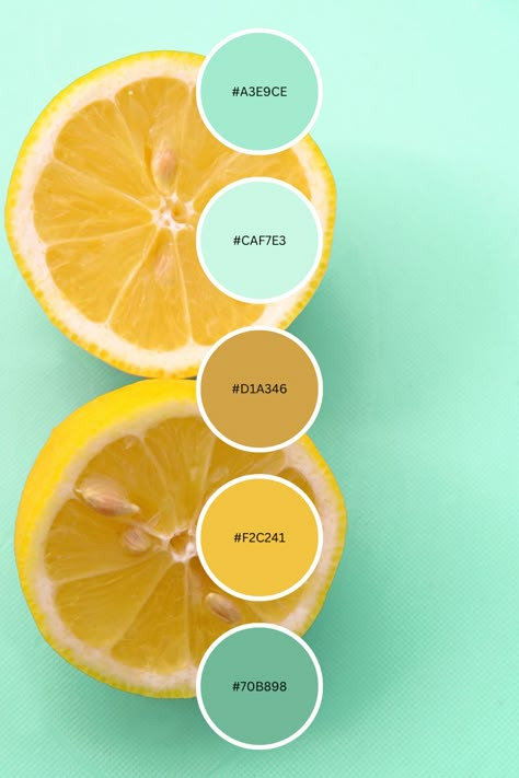 Use this color palette/color combo for inspiration on your next project! #colorpalette #colorcombos #lemon #mint #summerstyle Mint Color Palette, Mint Color Schemes, Yellow Kids Rooms, Mint Color Palettes, Lemon And Mint, Color Plan, Color Palette Yellow, Color Schemes Colour Palettes, Lemon Mint