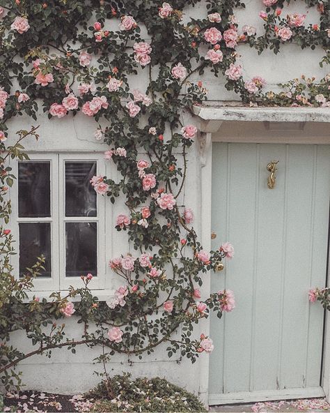 Blue Shabby Chic, Rachel Ashwell Shabby Chic, English Country Cottage, Little Cottages, Cottage Door, Wedding Moodboard, Climbing Rose, Pink Cottage, Rachel Ashwell