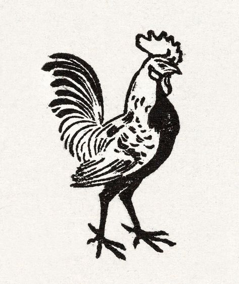 Medieval Woodcut, Rooster Illustration, Chicken Tattoo, Rooster Tattoo, Cowboy Tattoos, Chicken Illustration, Vintage Tattoos, Medieval Tattoo, Free Illustration Images