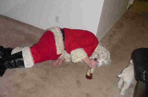 Santa gets drunk every Christmas dinner, after a hard night on the sleigh Funny Baby Images, American Funny Videos, Indian Funny, Funny Dresses, Best Funny Photos, Funny Dog Photos, Funny Pictures For Kids, Funny News, Funny Dog Pictures