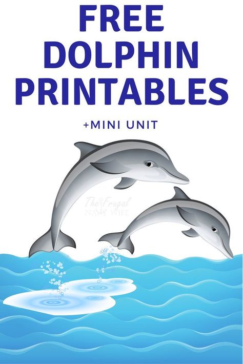 When working on our dolphin unit study I put together this dolphin printable for my kids. They had a blast and I wanted to share it with all of you now! This free printable works great with the list resource list to learn everything about dolphins!   #dol All About Dolphins, Dolphin Pictures, Sea Life Crafts, Dolphin Craft, Dolphin Birthday Parties, Dolphin Facts, Ocean Theme Preschool, Dolphin Tale, Free Worksheets For Kids