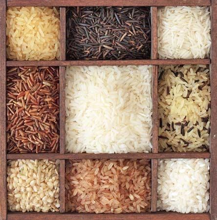 The answer to "Is Rice Gluten Free?" and much more - http://glutenfreerecipebox.com/is-rice-gluten-free/ #glutenfree Gluten Free Rice Recipes, Different Types Of Rice, Types Of Rice, Rice Bar, Pasta Brands, Gluten Free Info, Rice Packaging, Rice Mill, Arroz Frito